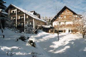 Hotel Berghof Willingen  Extérieur photo